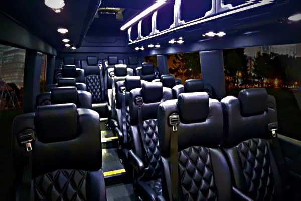 Lincoln Charter Bus Rental, School Bus, Limo Buses, Party Buses, Mini Buses, Coach Buses, Motor Coaches